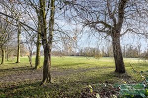 Photo 19- click for photo gallery